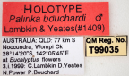 <i>Palirika bouchardi</i> Holotype label