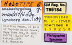 <i>Anabarhynchus monteithi</i> Holotype label