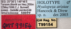 <i>Hyalopeza aristae</i> Holotype label