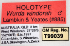 <i>Wurda windorah</i> Holotype label