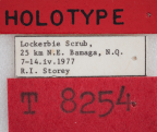 <i>Dacus (Bactrocera) aurantiacus</i> Holotype label