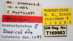 <i>Anabarhynchus tauricus</i> Holotype label