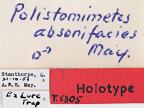 <i>Polistomimetes absonifacies</i> Holotype label