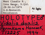 <i>Vidalia dualis</i> Holotype label