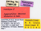<i>Agapophytus decorus</i> Holotype label