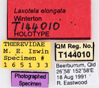 <i>Laxotela elongata</i> Holotype label