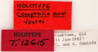 <i>Comptosia soror</i> Holotype label