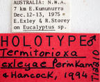 <i>Termitorioxa exleyae</i> Holotype label