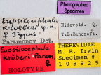 <i>Eupsilocephala kroeberi</i> label