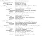 Protist classification, following Adl et al. (2012).