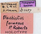 <i>Dischistus formosus</i> Holotype label