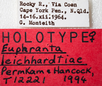 <i>Euphranta leichhardtiae</i> Holotype label