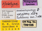 <i>Anabarhynchus yeppoon</i> Holotype label