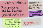 <i>Acupalpa albitarsa</i> Holotype label