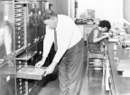 M.I. Nikitin, after whom this species was named, working in the collections of the New South Wales Department of Agriculture, Rydalmere.