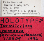 <i>Termitorioxa inconnexa</i> Holotype label