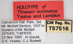 <i>Thraxan echinatus</i> Holotype label