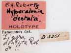 <i>Hyperalonia dentata</i> Holotype label