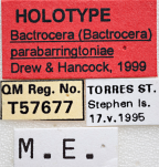 <i>Bactrocera (Bactrocera) parabarringtoniae</i> Holotype label