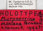 <i>Micronevrina montana</i> Holotype label