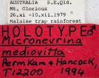 <i>Micronevrina mediivitta</i> Holotype label
