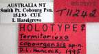 <i>Termitorioxa cobourgensis</i> Holotype label