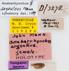 <i>Anabarhynchus argenteus</i> Holotype label