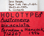 <i>Austronevra bimaculata</i> Holotype label