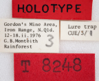 <i>Dacus (Bactrocera) antigone</i> Holotype label