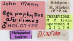 <i>Agapophytus aterrimus</i> Holotype label