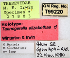 <i>Taenogerella elizabethae</i> Holotype label