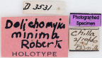 <i>Dolichomyia minima</i> Holotype label