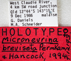 <i>Micronevrina breviseta</i> Holotype label