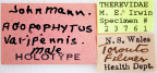 <i>Agapophytus varipennis</i> Holotype label