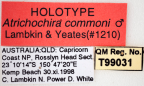 <i>Atrichochira commoni</i> Holotype label