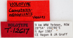 <i>Comptosia neoapicalis</i> Holotype label