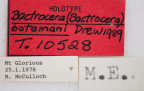 <i>Bactrocera (Bactrocera) batemani</i> Holotype label