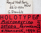 <i>Micronevrina setosa</i> Holotype label