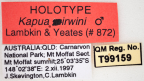 <i>Kapua irwini</i> Holotype label