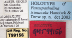 <i>Paraspathulina trimacula</i> Holotype label