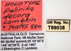 <i>Palirika decora</i> Holotype label