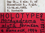 <i>Hardyadrama alyta</i> Holotype