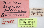 <i>Acupalpa pollinosa</i> Holotype label