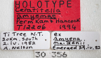 <i>Ceratitella amyemae</i> Holotype label
