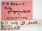 <i>Villa quinqueguttata</i> Holotype label