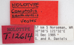 <i>Comptosia xanthobasis</i> Holotype label