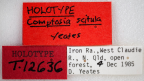 <i>Comptosia scitula</i> Holotype label