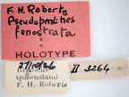 <i>Pseudopenthes fenestrata</i> Holotype label