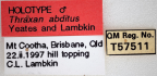 <i>Thraxan abditus</i> Holotype label