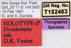<i>Docidomyia isla</i> Holotype label